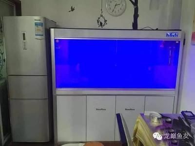龍魚缸需要開燈嗎冬天：冬季養龍魚時，魚缸需要開燈嗎 龍魚缸需要開燈嗎冬天：冬季養龍魚時，魚缸需要開燈嗎 龍魚百科