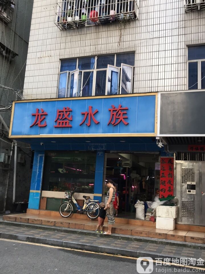 龍勝開水族店怎么樣？加盟祥龍魚場賣龍魚市場怎樣？