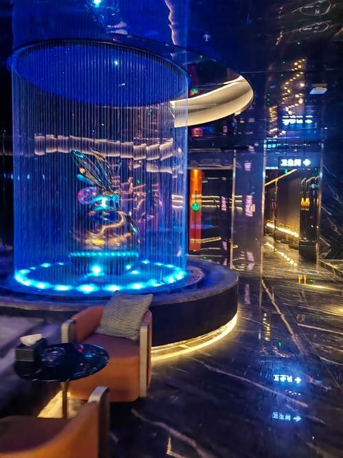 巴里坤開水族店怎么樣？加盟祥龍魚場賣龍魚市場怎樣？