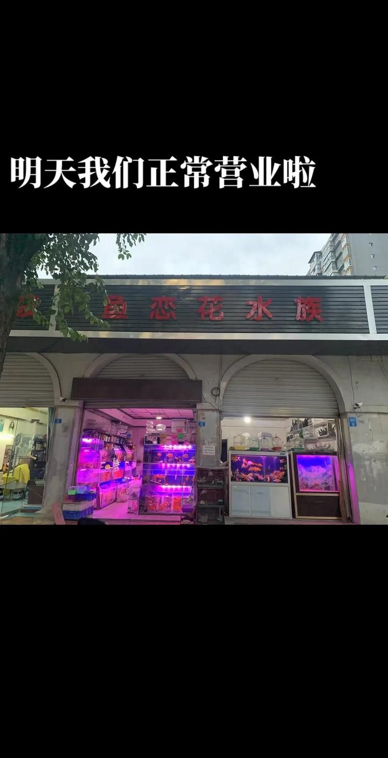 閬中開水族店怎么樣？加盟祥龍魚場賣龍魚市場怎樣？