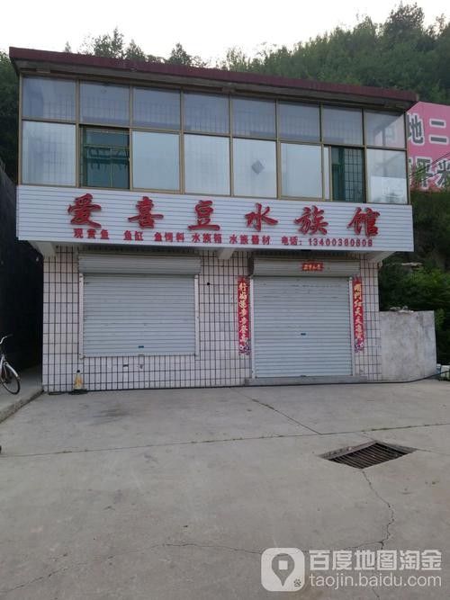 阜平開水族店怎么樣？加盟祥龍魚場賣龍魚市場怎樣？