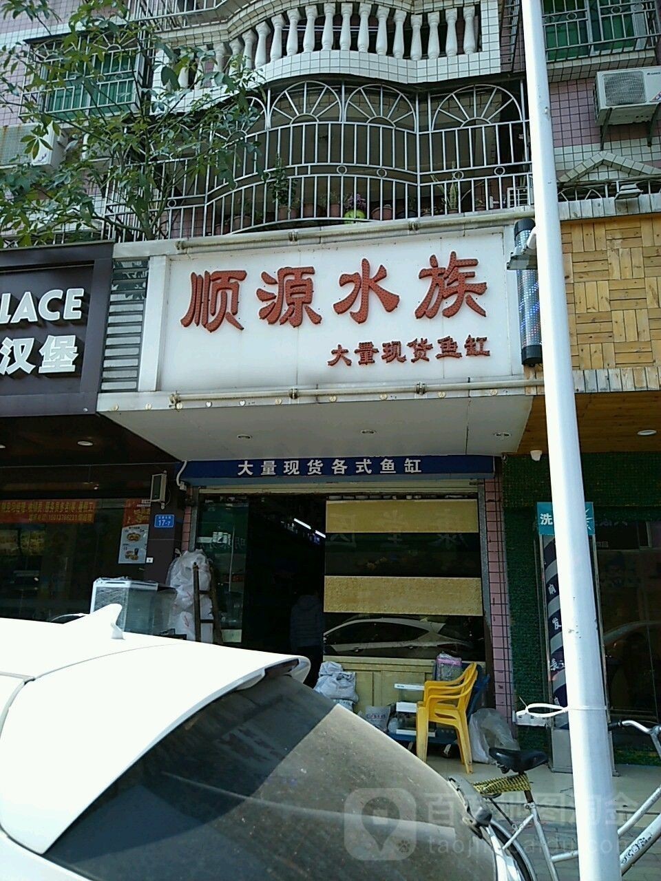 寶安開水族店怎么樣？加盟祥龍魚場賣龍魚市場怎樣？