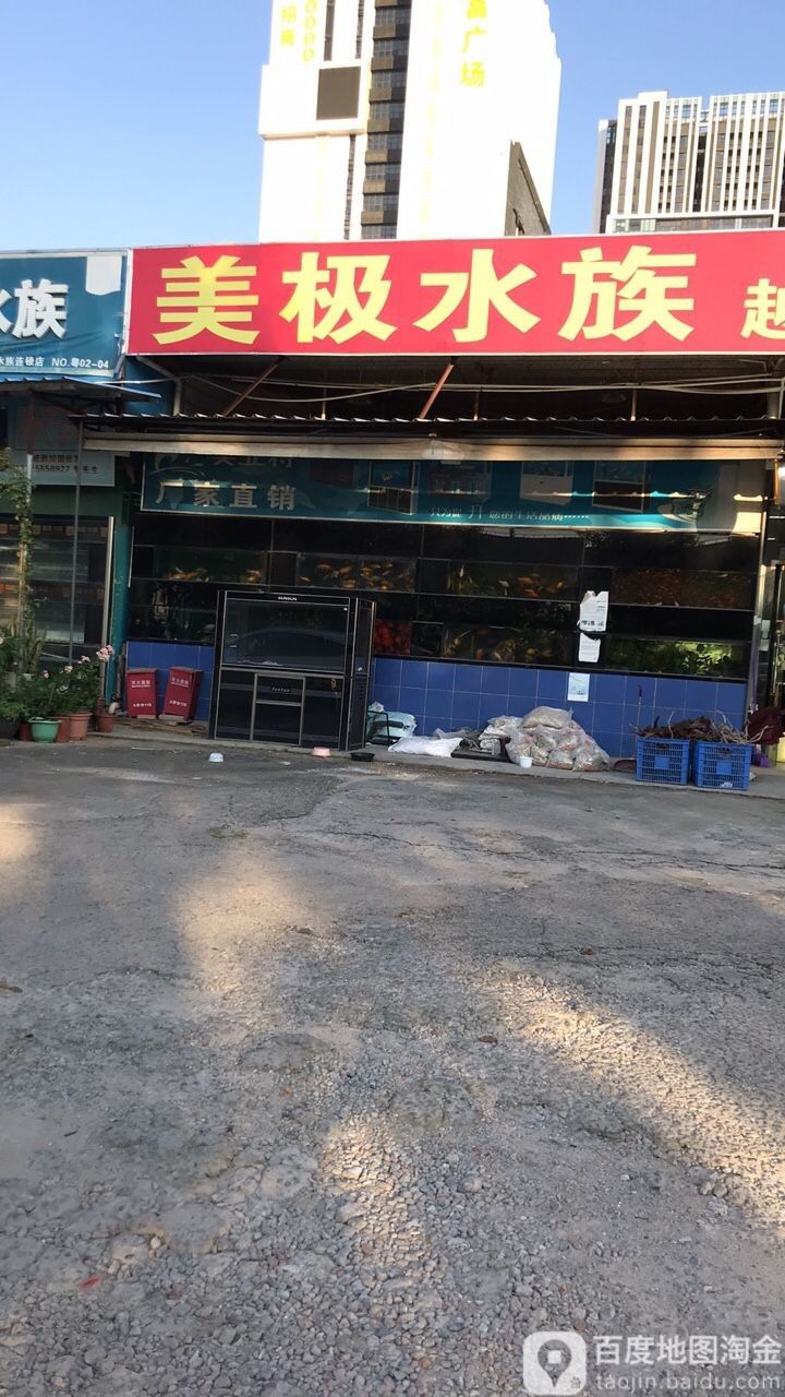 寶安開水族店怎么樣？加盟祥龍魚場賣龍魚市場怎樣？