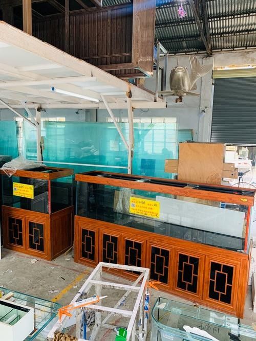 貴港開水族店怎么樣？加盟祥龍魚場賣龍魚市場怎樣？ 貴港開水族店怎么樣？加盟祥龍魚場賣龍魚市場怎樣？ 水族館百科（水族館加盟） 第2張