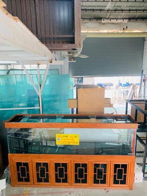 貴港開水族店怎么樣？加盟祥龍魚場賣龍魚市場怎樣？ 貴港開水族店怎么樣？加盟祥龍魚場賣龍魚市場怎樣？ 水族館百科（水族館加盟） 第3張