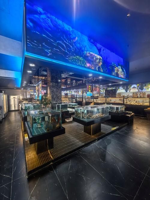 沙雅開(kāi)水族店怎么樣？加盟祥龍魚場(chǎng)賣龍魚市場(chǎng)怎樣？