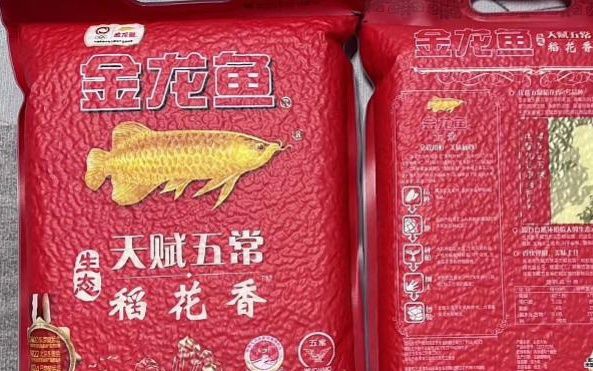 世界上最貴的觀賞魚(yú)，天價(jià)血紅龍魚(yú)被日本人買(mǎi)走