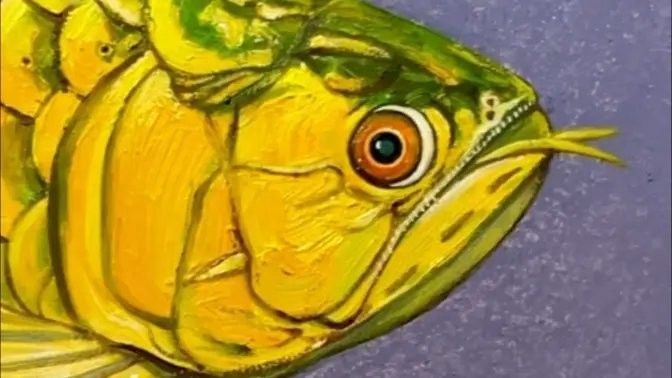 龍魚魟魚飼養(yǎng)手冊上行龍 龍魚魟魚飼養(yǎng)手冊上行龍 龍魚百科 第2張