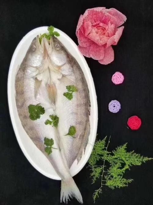 雪龍魚價格多少錢一只圖片