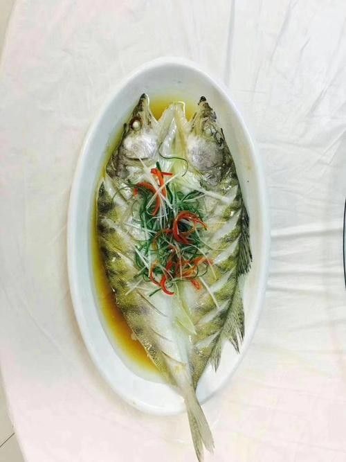 雪龍魚價格多少錢一只圖片