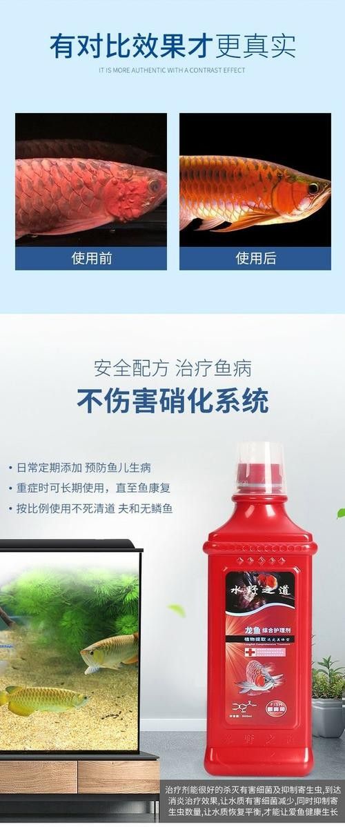 銀龍魚眼睛外面有白膜怎么治療圖片