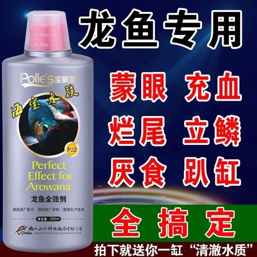 銀龍魚眼睛外面有白膜怎么治療圖片