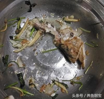 金龍魚好吃嗎能吃嗎：金龍魚好吃嗎？