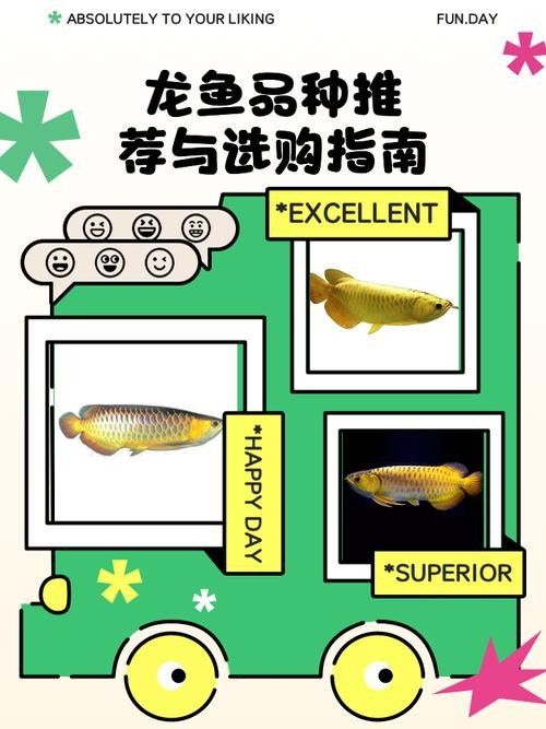 龍魚種類圖片價格大全