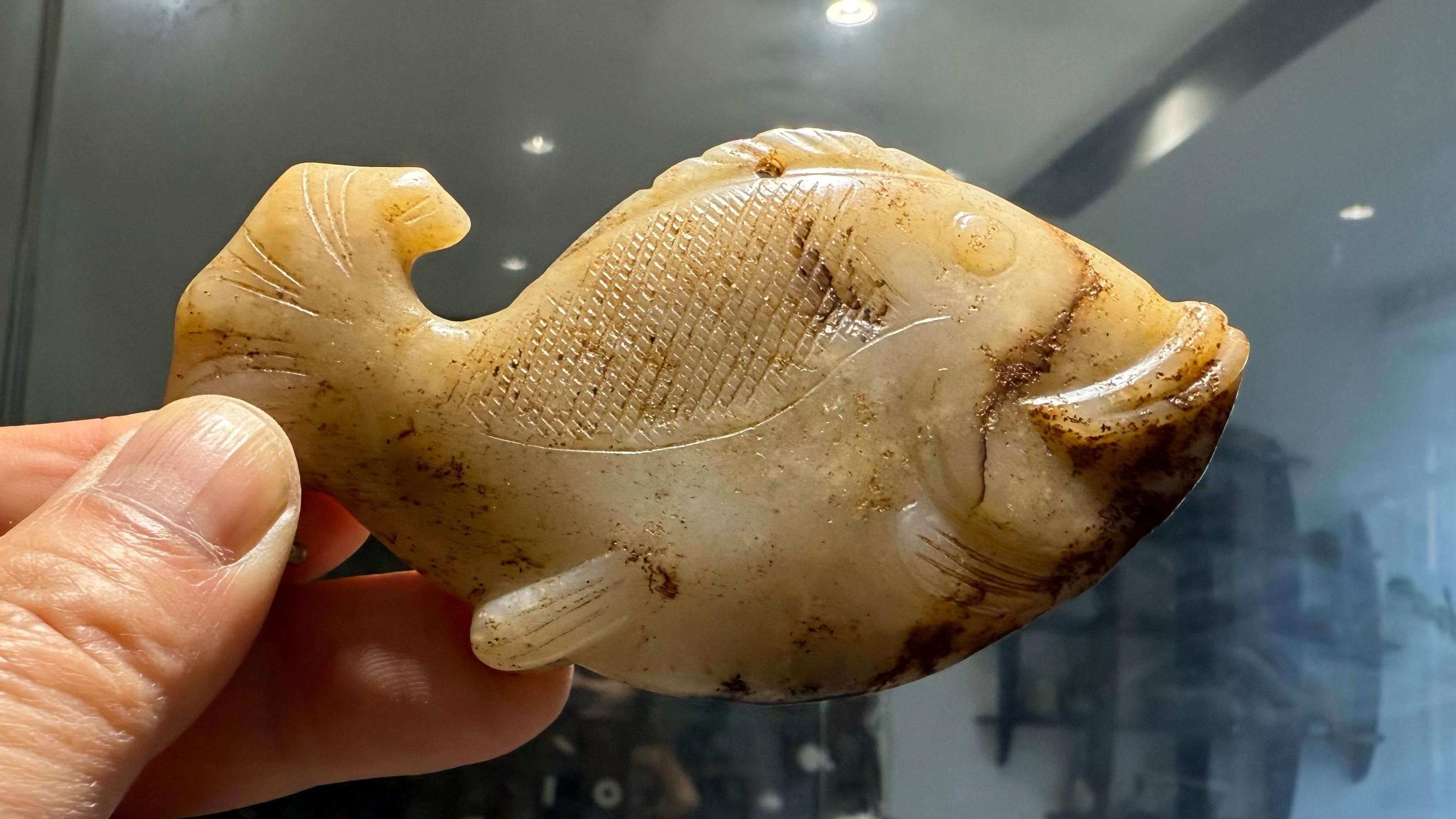 白玉龍魚圖片欣賞視頻下載