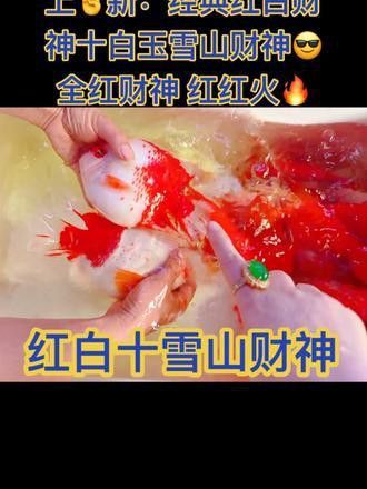 白玉龍魚圖片欣賞視頻下載
