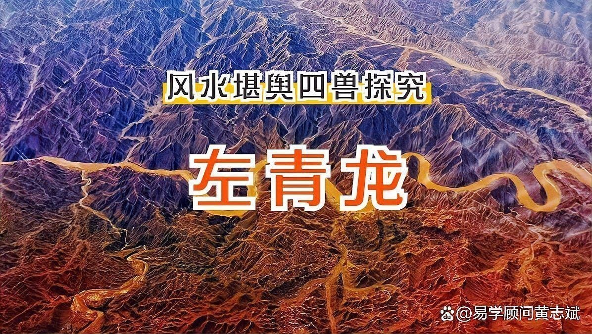 《風水青龍》有哪些看點？ 《風水青龍》有哪些看點？ 龍魚百科 第5張