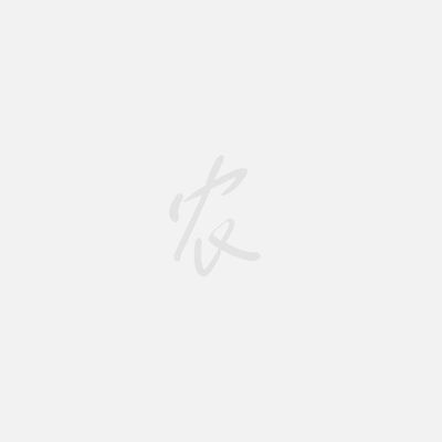 雙線側(cè)魚(yú)常見(jiàn)疾病防治：雙線側(cè)魚(yú)養(yǎng)殖過(guò)程中可能會(huì)遇到多種疾病及其癥狀及其癥狀 雙線側(cè)魚(yú)常見(jiàn)疾病防治：雙線側(cè)魚(yú)養(yǎng)殖過(guò)程中可能會(huì)遇到多種疾病及其癥狀及其癥狀 龍魚(yú)百科 第1張