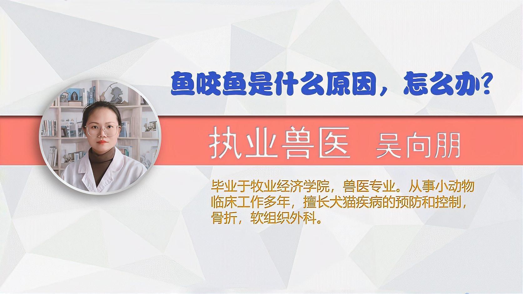 如何預防魚咬魚再次發生？