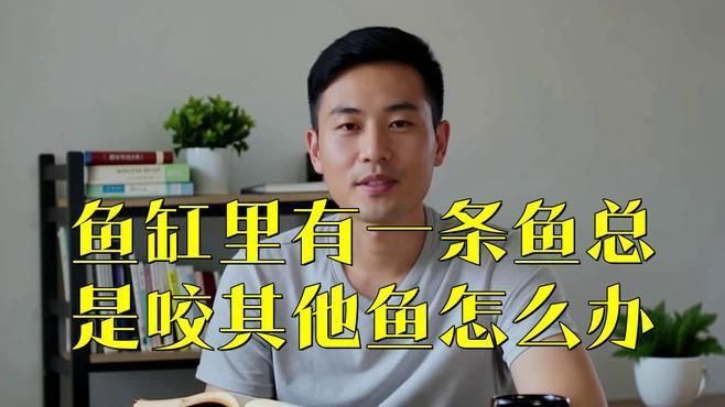 如何預防魚咬魚再次發生？
