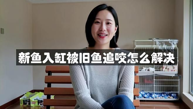 如何預防魚咬魚再次發生？