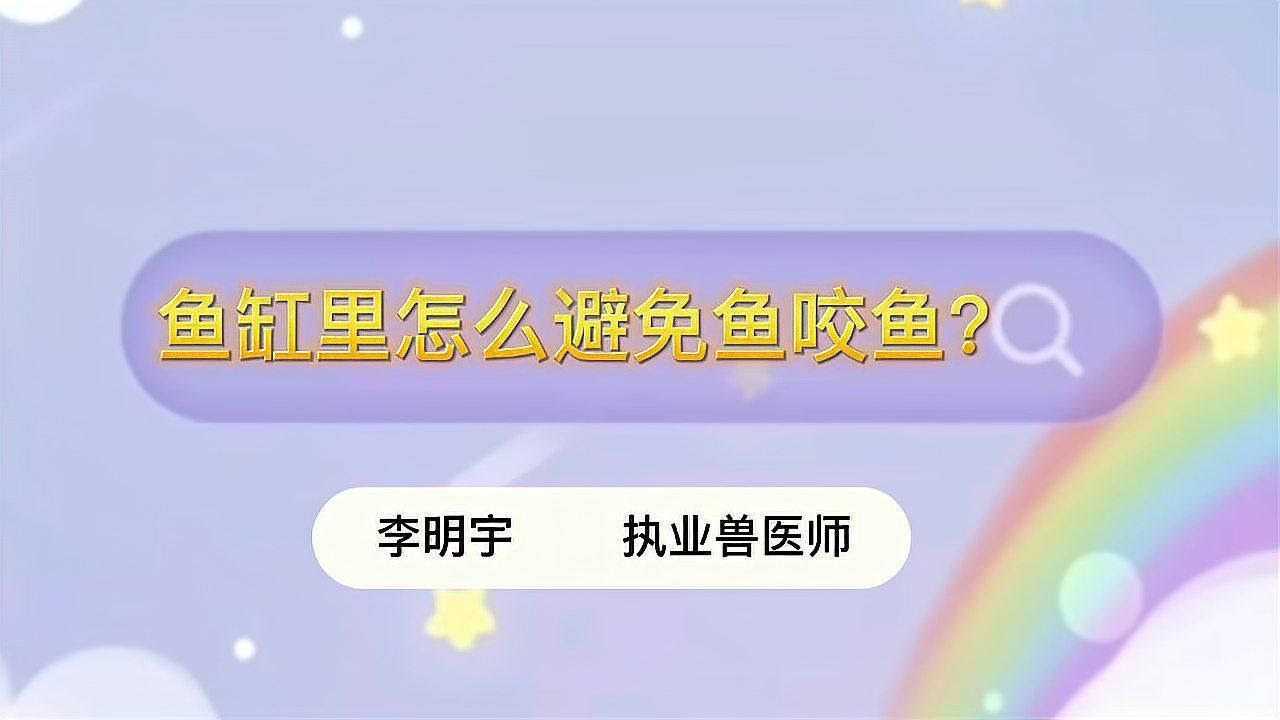如何預防魚咬魚再次發生？