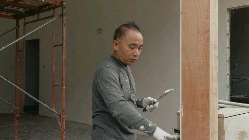 帝龍漁業的主要業務領域有哪些？