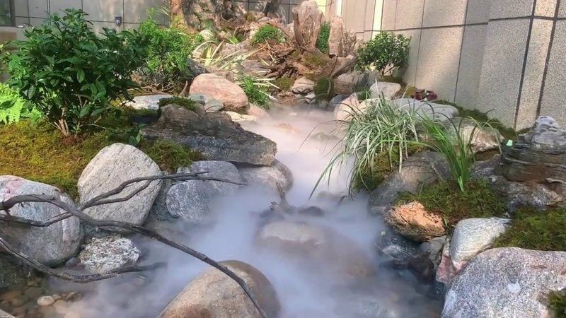 廣州百藝城推薦祥龍魚場E205 廣州百藝城推薦祥龍魚場E205 龍魚百科 第1張