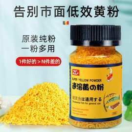 錦鯉魚多少錢一只