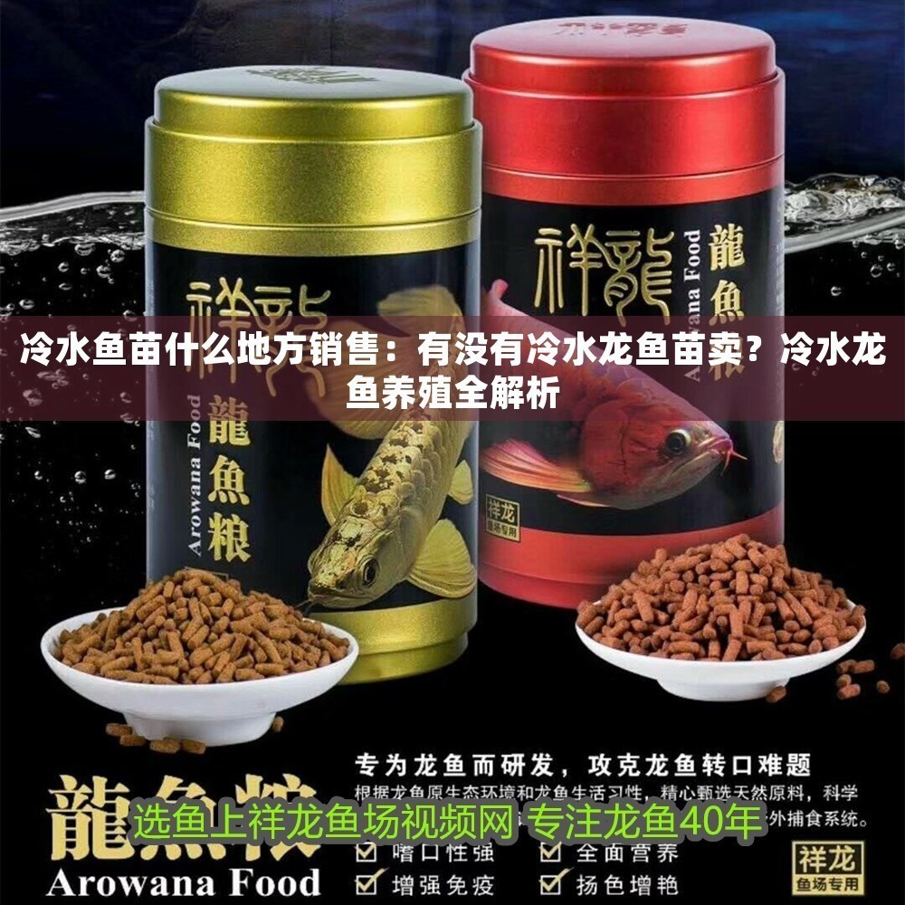 冷水魚苗什么地方銷售：有沒有冷水龍魚苗賣？冷水龍魚養(yǎng)殖全解析