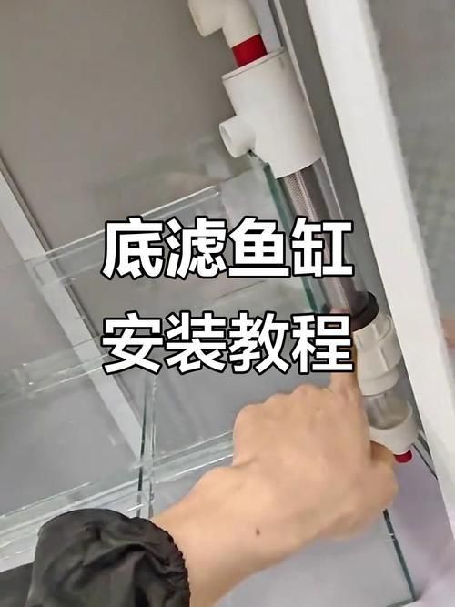 老式魚缸底濾安裝圖解 老式魚缸底濾安裝圖解 龍魚百科 第9張
