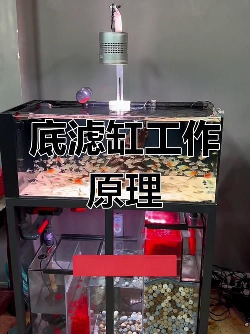 老式魚缸底濾安裝圖解 老式魚缸底濾安裝圖解 龍魚百科 第17張