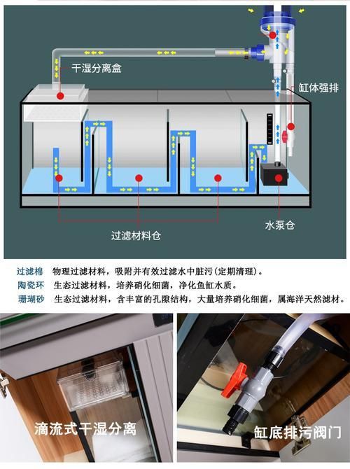 老式魚缸底濾安裝圖解 老式魚缸底濾安裝圖解 龍魚百科 第21張