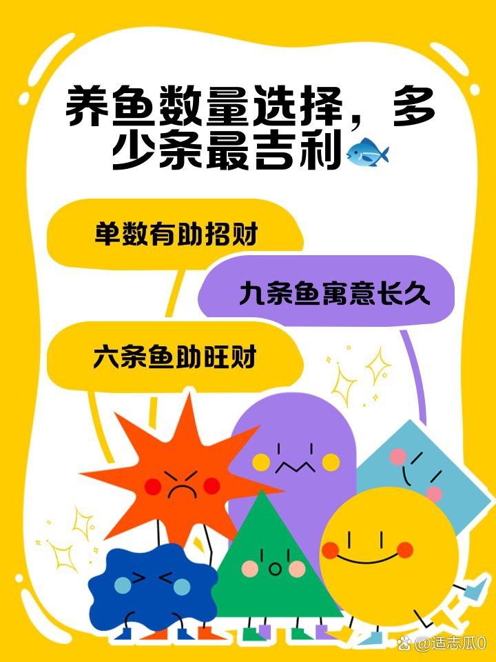 金龍魚的其他吉利數量有哪些？