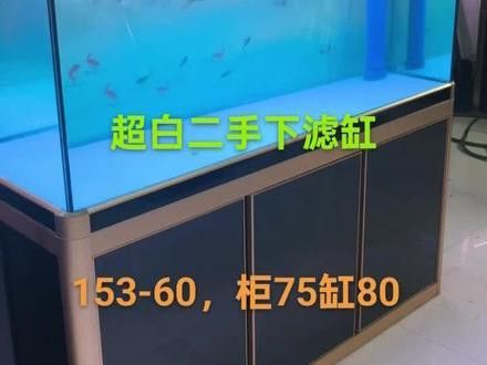 天津龍魚上門回收電話號碼是多少 天津龍魚上門回收電話號碼是多少 龍魚百科 第2張