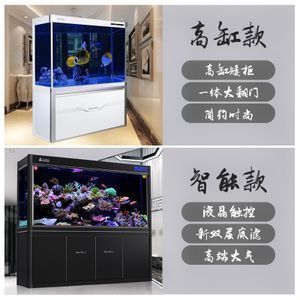 高端龍魚缸報價：高端龍魚缸報價信息 高端龍魚缸報價：高端龍魚缸報價信息 龍魚百科 第3張