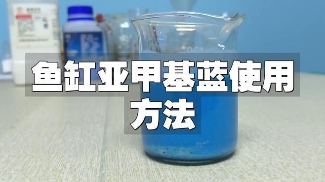 如何正確使用亞甲基藍(lán)治療龍魚(yú)真菌病？
