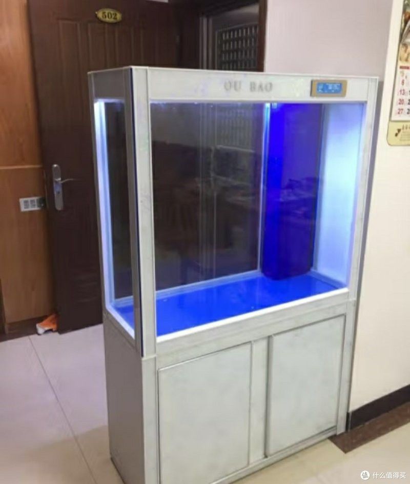 推薦幾款適合金龍魚繁殖的魚缸品牌