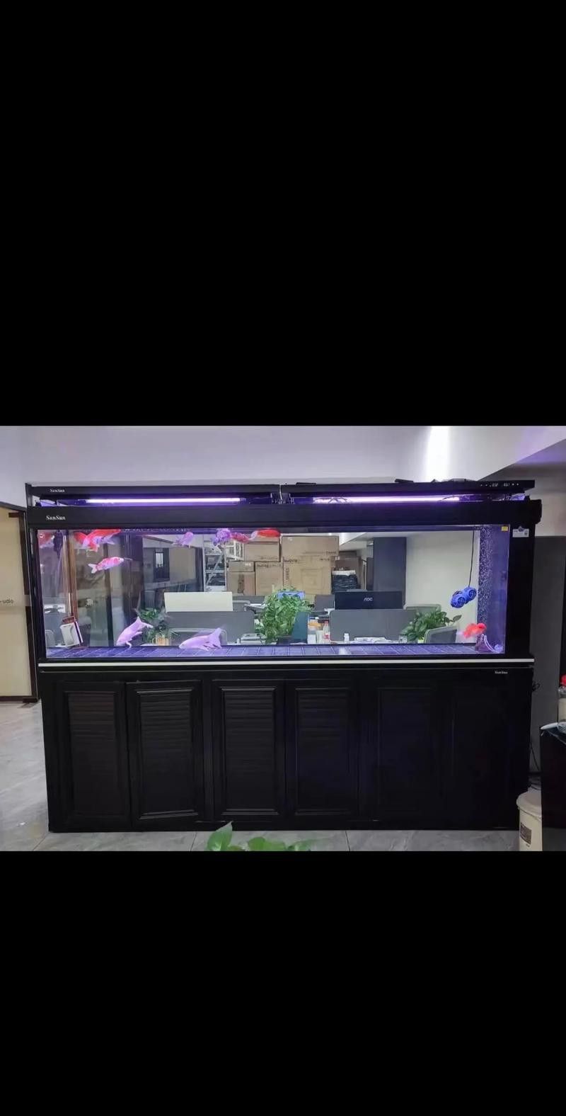 推薦幾款適合金龍魚繁殖的魚缸品牌