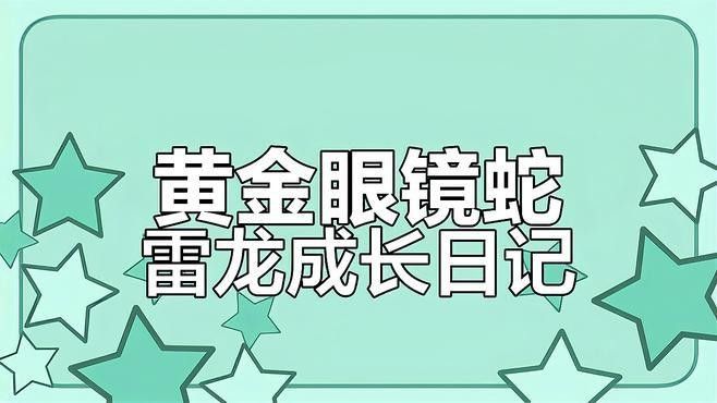 雷龍魚一年長多少