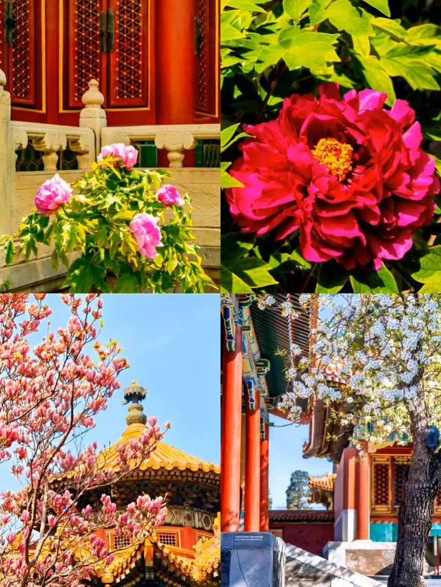 金龍裝飾風格在哪些地方最為常見？