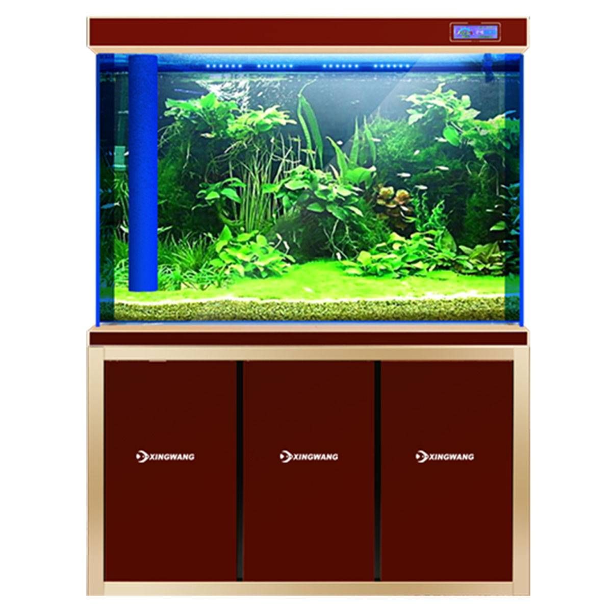 龍魚多少錢一條 白色：白色龍魚價格對比白金龍魚價格對比如何辨別白金龍魚真偽