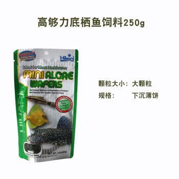 黃金斑馬飼料選擇指南，黃金斑馬魚專用飼料品牌排行