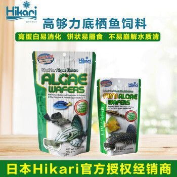 黃金斑馬飼料選擇指南，黃金斑馬魚專用飼料品牌排行