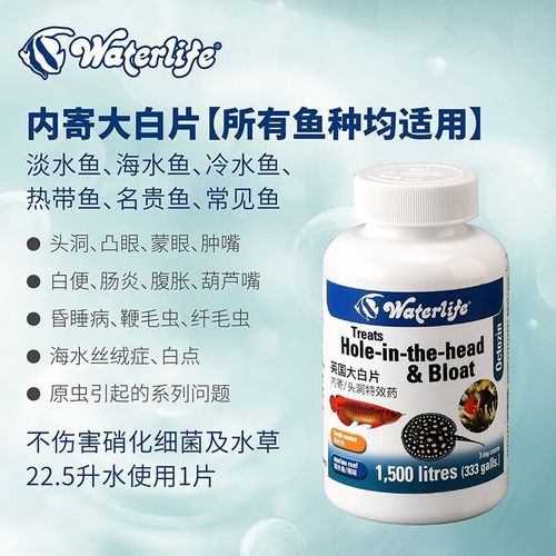 推薦一些龍魚專用消毒劑