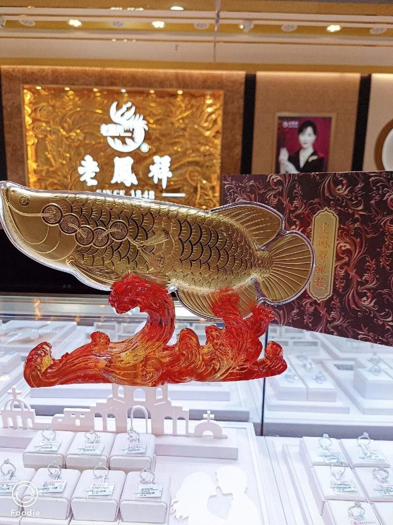老鳳祥金龍魚金條