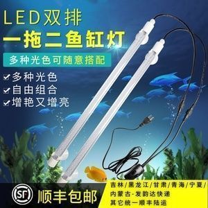 龍魚發色燈要什么放置才好看呢：龍魚發色燈的放置位置