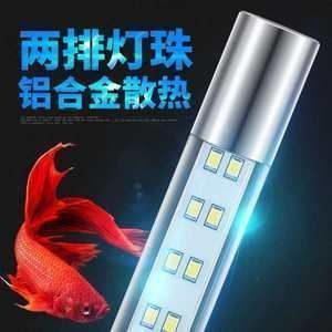 龍魚發色燈要什么放置才好看呢：龍魚發色燈的放置位置