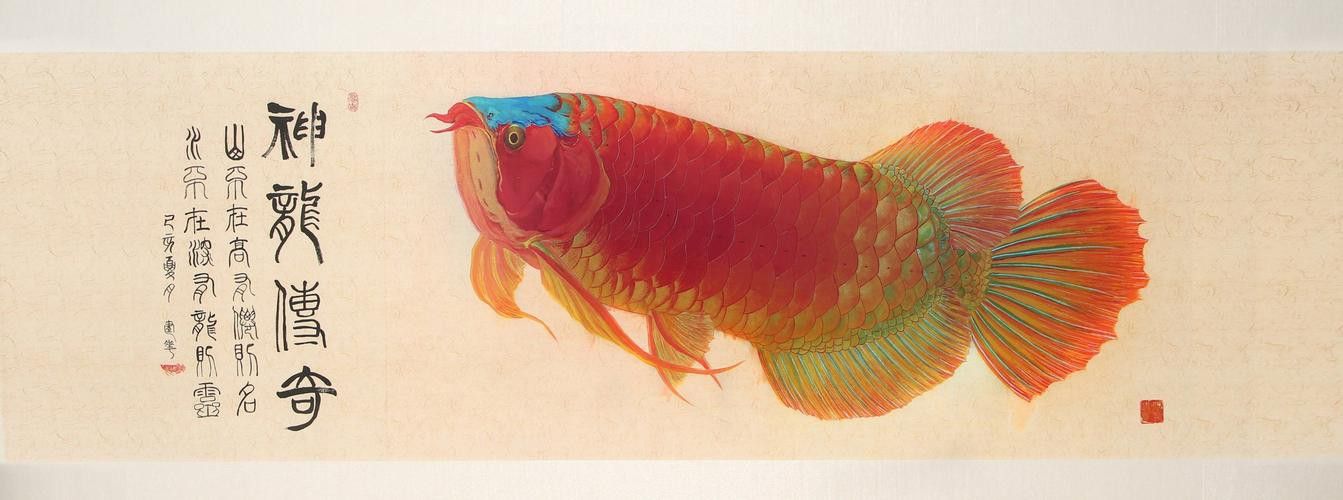 有沒有更多簡潔風格的紅龍魚頭像？