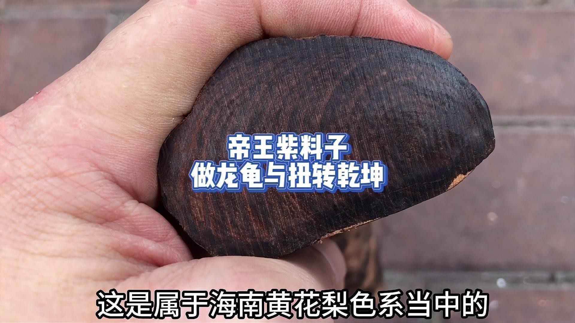 海南黃花梨紫油梨龍龜的價格范圍是多少？ 海南黃花梨紫油梨龍龜的價格范圍是多少？ 龍魚百科 第1張